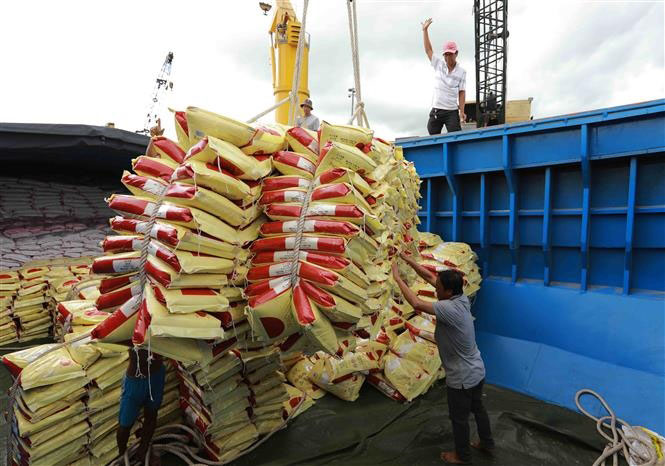 Vận chuyển gạo xuất khẩu của Tập đoàn Lộc Trời tại thành phố Cần Thơ. Ảnh: Internet