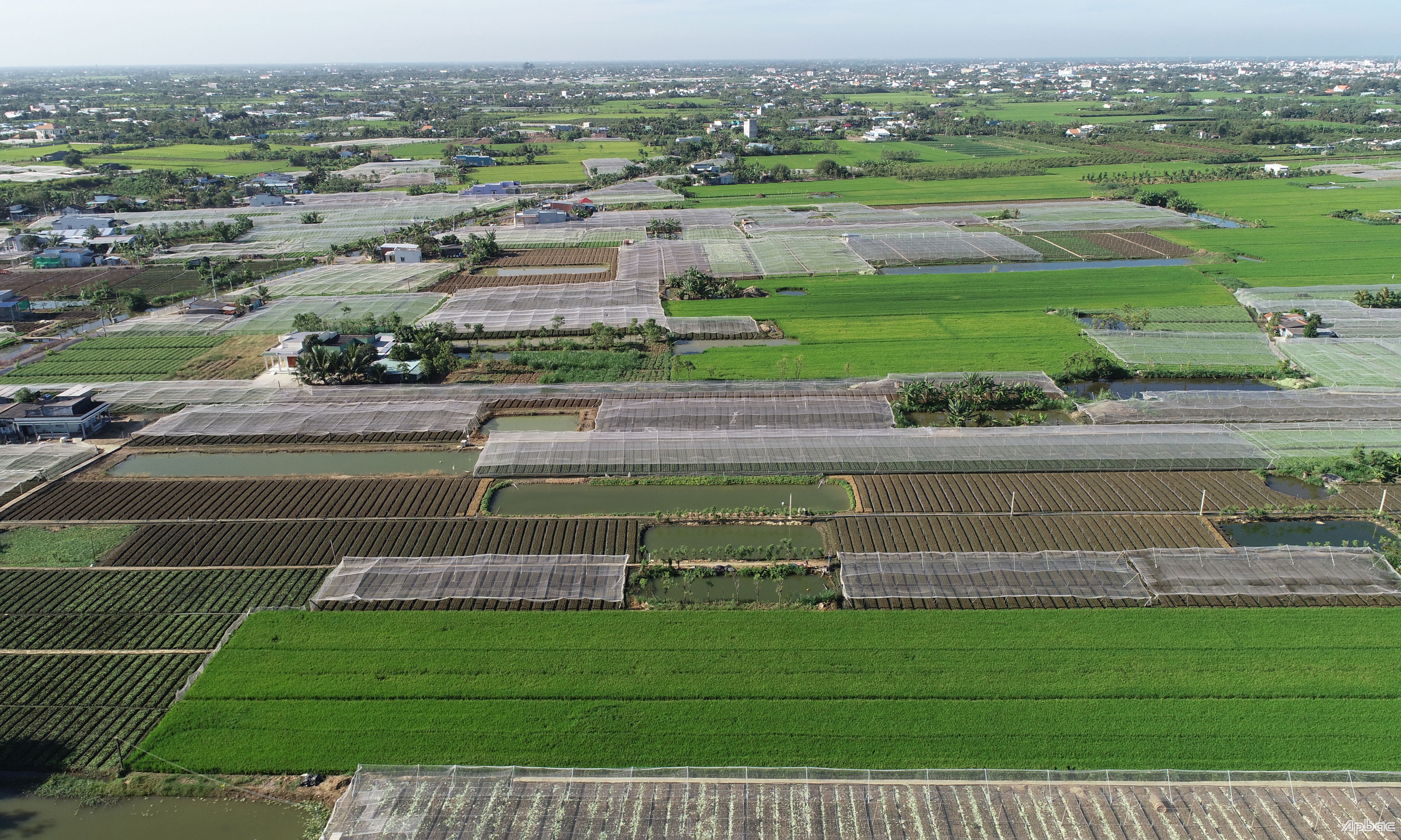 Huyện Gò Công Đông thực hiện xây dựng NTM gắn với giảm nghèo bền vững và tái cơ cấu ngành Nông nghiệp.