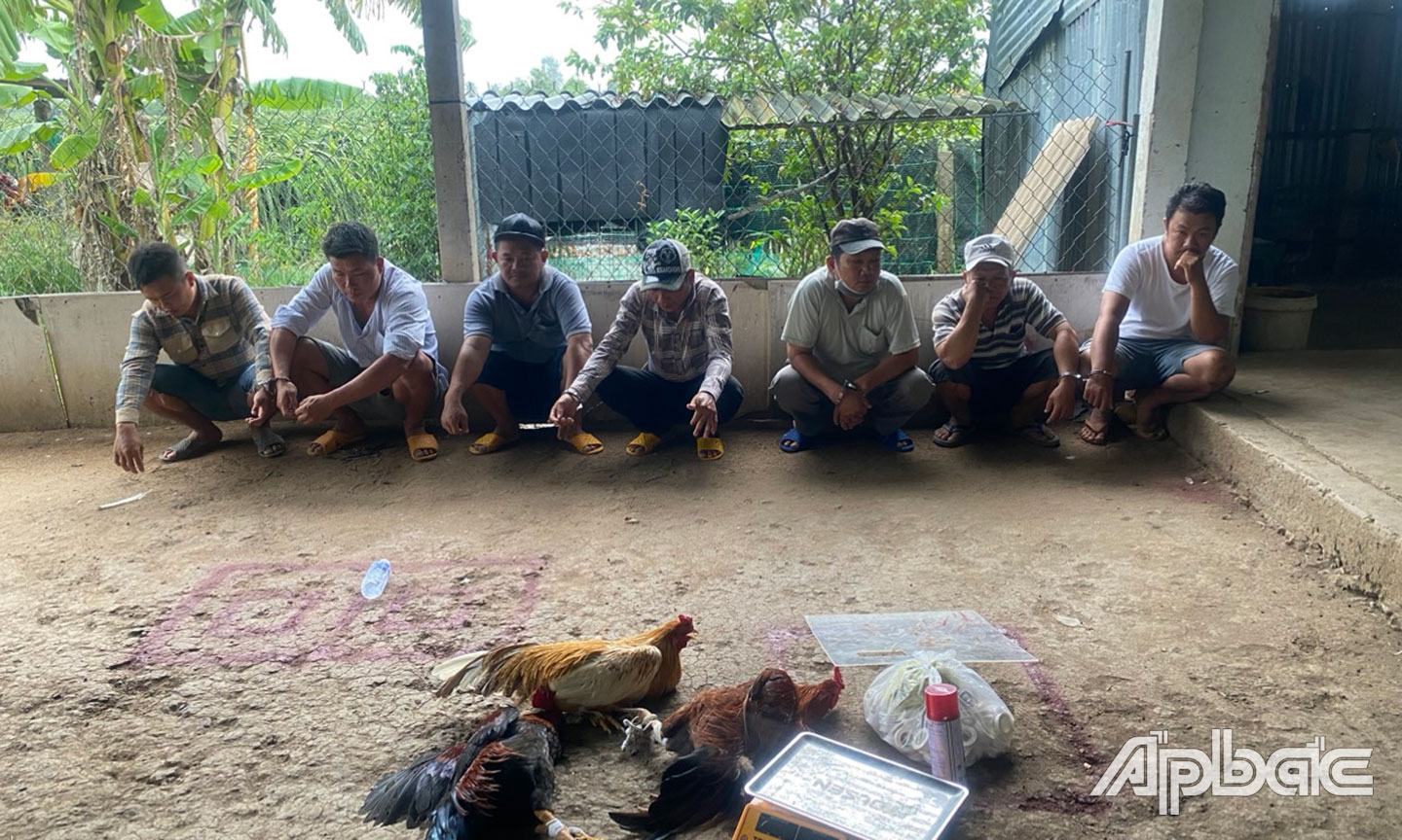 7 đối tượng bị bắt tại huyện Chợ Gạo.