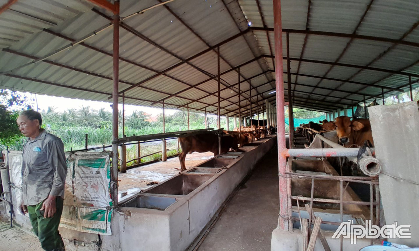 Cơ sở chăn nuôi của gia đình ông Linh.