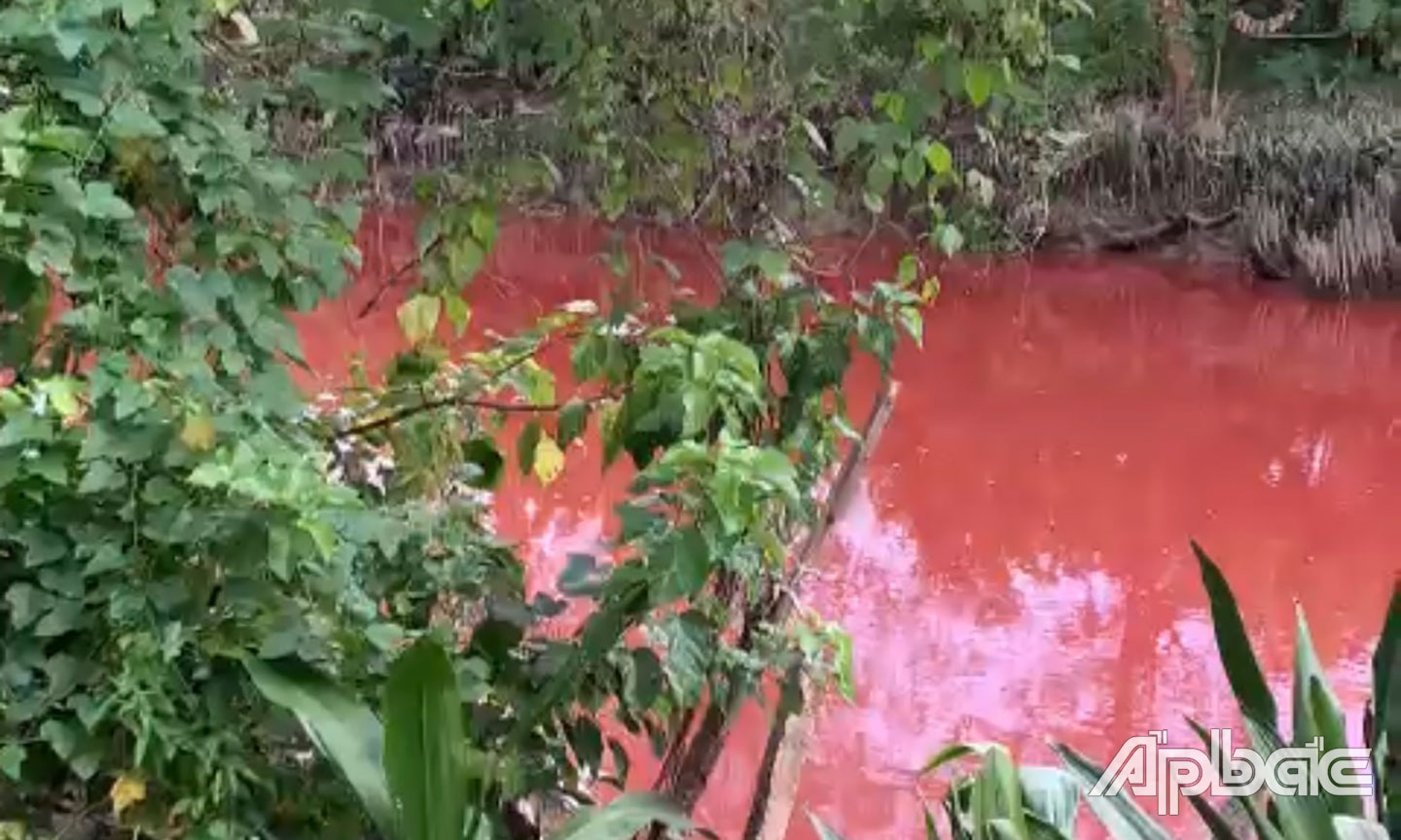 Dòng kênh đỏ. Ảnh cắt từ clip