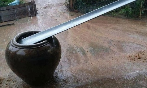 Ngọt mát lu nước mưa bên hè