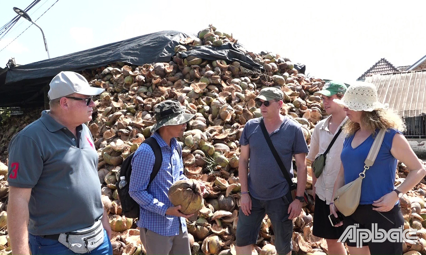 Khách du lịch tham quan tại Cơ sở sản xuất xơ dừa Ba Tải