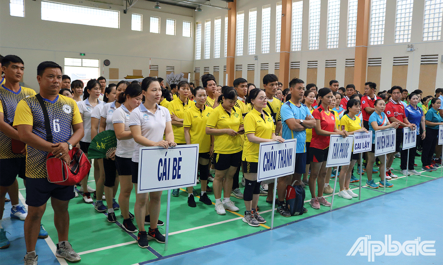 Các đội tham gia giải bóng chuyền 