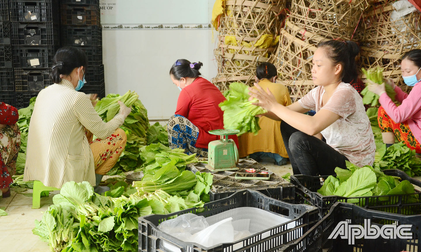 HTX Nông nghiệp tổng hợp Hòa Thạnh có điều kiện ký kết hợp đồng tiêu thụ nhờ được thuê đất để xây dựng nhà sơ chế.