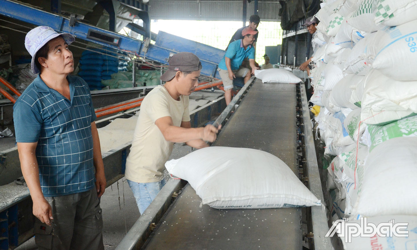 Giá gạo tăng cao khiến DN gặp khó.