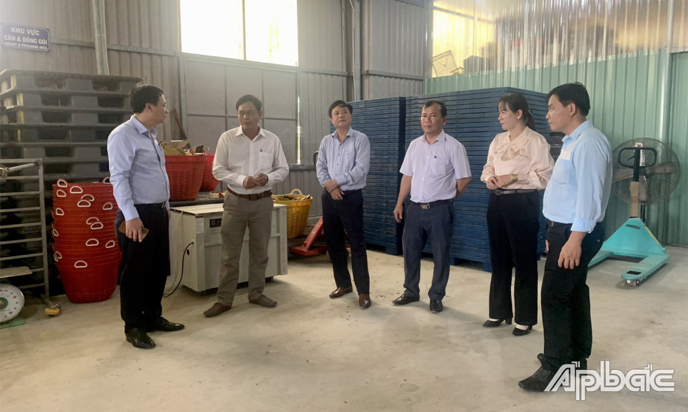 Đoàn khảo sát thực tế