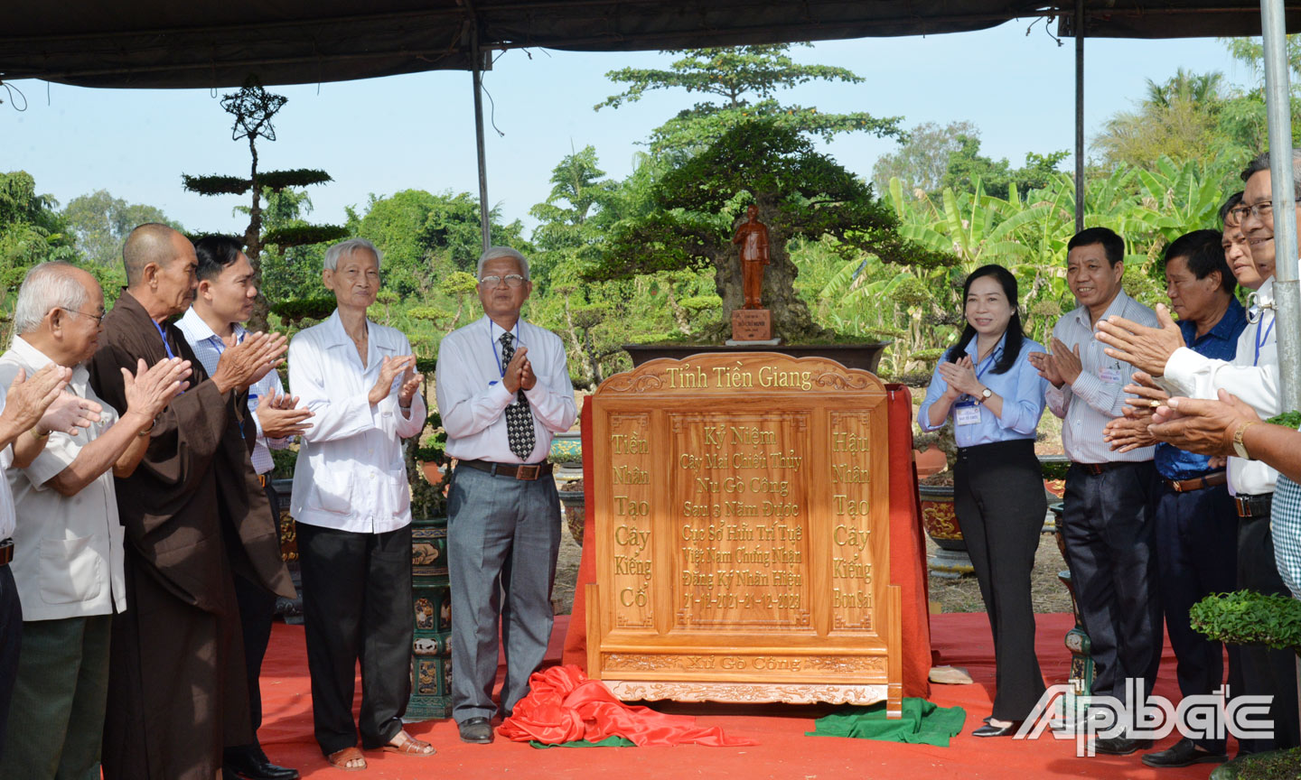 Hội Sinh vật cảnh tỉnh phối hợp với UBND huyện Gò Công Tây vừa  tổ chức khai mạc Hội thi, trưng bày cây kiểng cổ, bonsai Mai nu chiếu thuỷ Gò Công nhân 3 năm được công nhận nhãn hiệu.