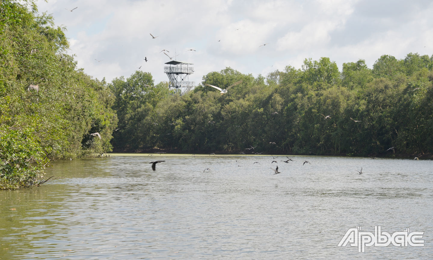 Khu Bảo tồn đã quy tập được trên 12.000 con chim, cò trú ngụ sinh sản như: Cò trắng, cò ngàn, le le, vịt trời, diệc xám, điên điển, trích, quốc...