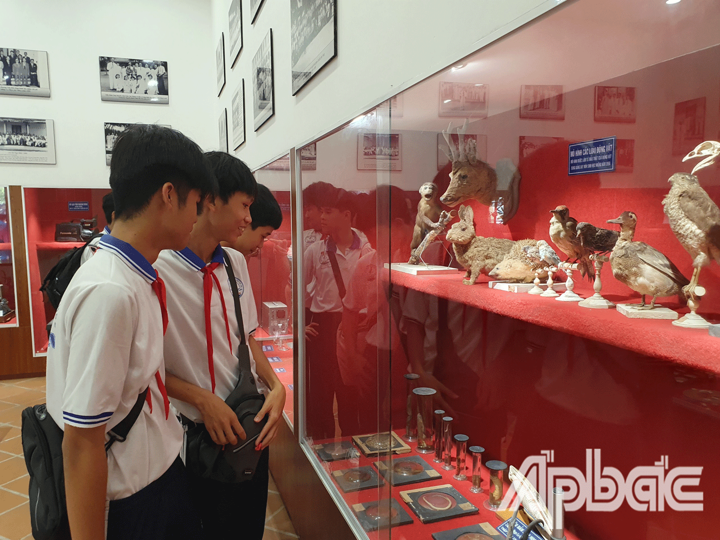 Tham quan, trải nghiệm thực tế tại Trường THPT Nguyễn Đình Chiểu. 