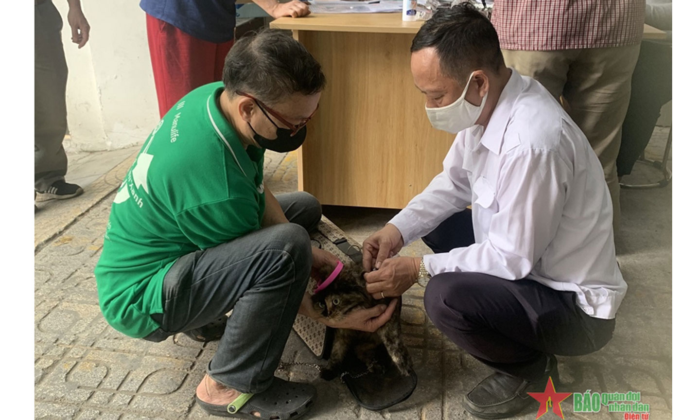 Tiêm vaccine phòng bệnh dại tại phường Vĩnh Tuy, quận Hai Bà Trưng, Hà Nội. Ảnh: HẰNG NGA