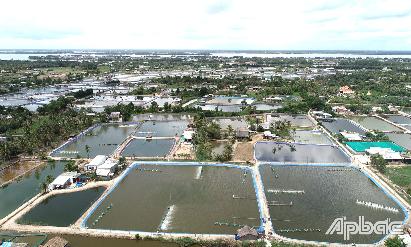  Tân Phú Đông quyết tâm về đích huyện NTM trong năm 2024. 