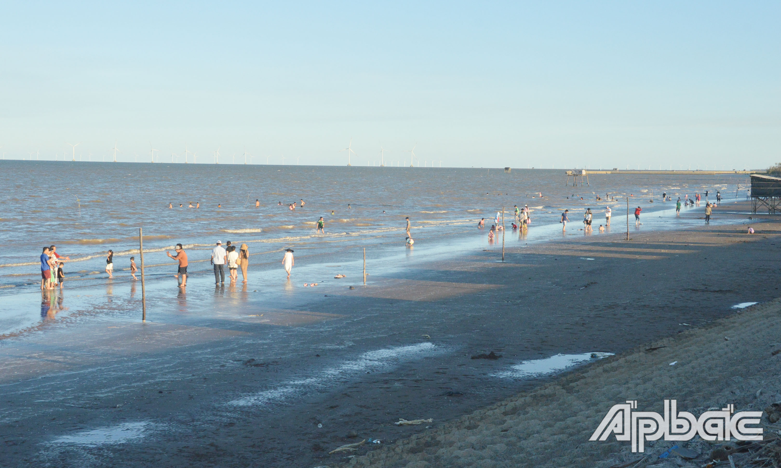 Du khách đến tham quan du lịch tại đê biển Gò Công tăng mạnh.