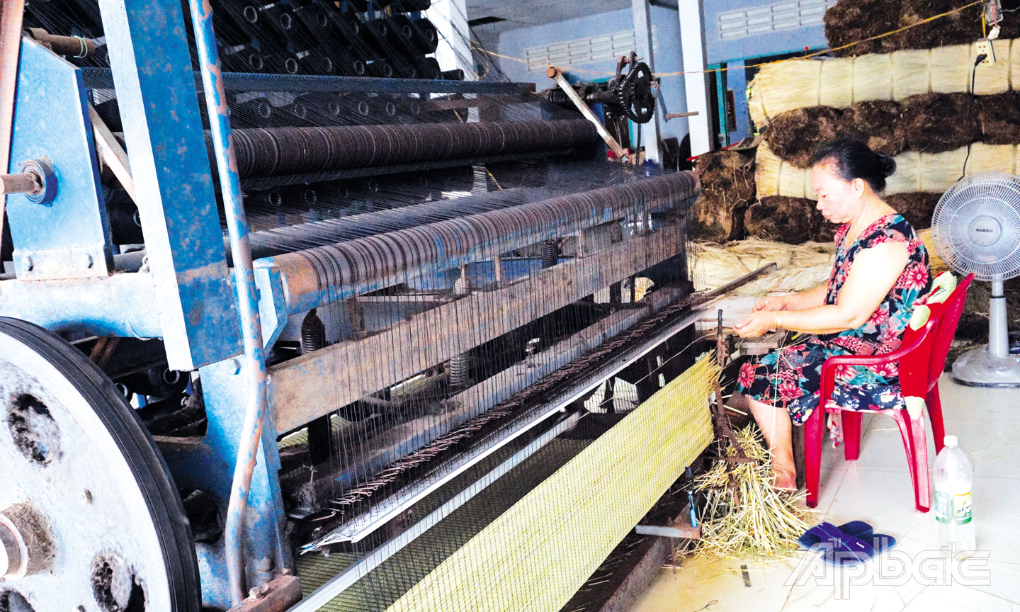  Người dân Làng nghề Dệt chiếu Long Định đang dệt chiếu.
