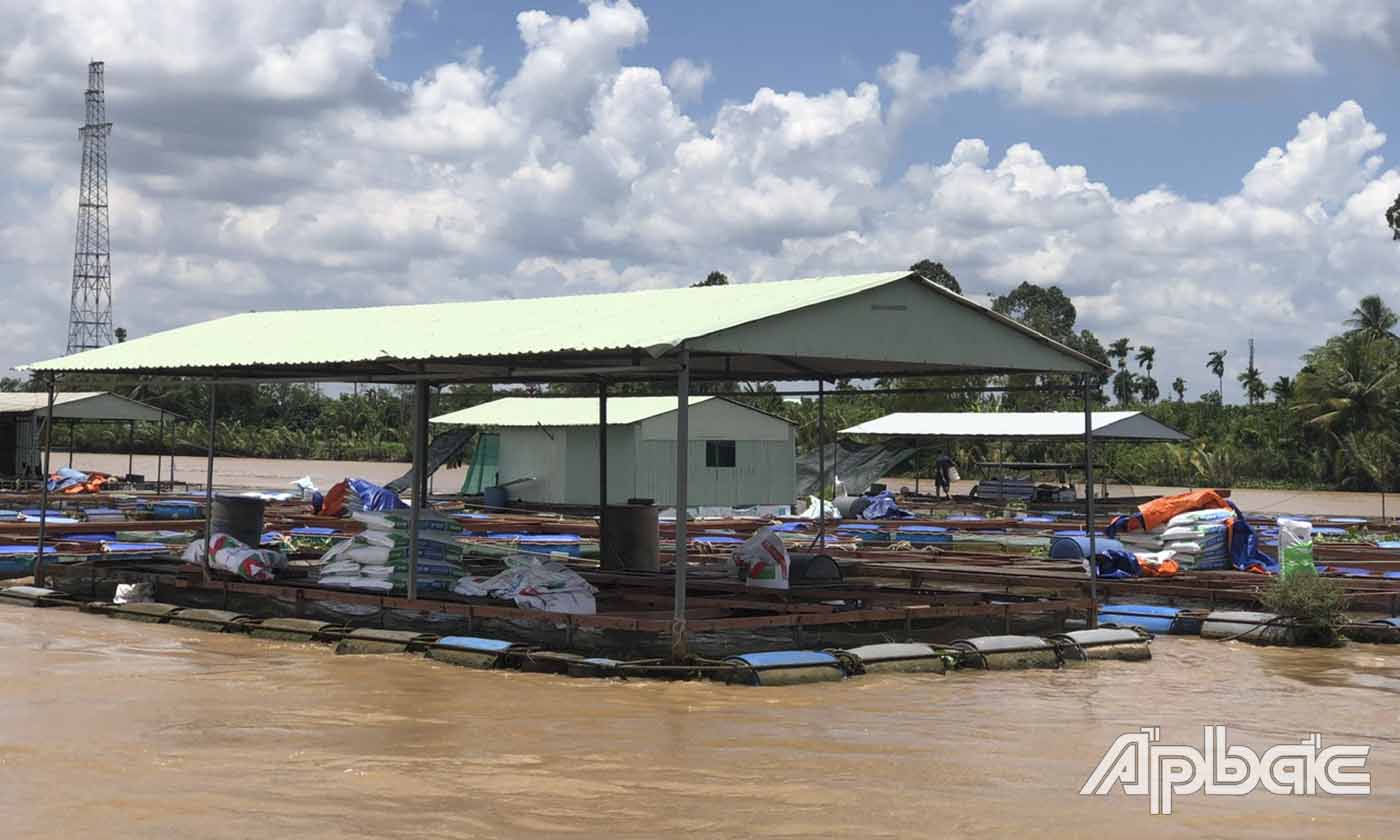 ảnh bè cá của nông dân