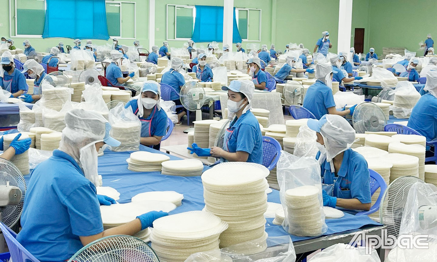 Công nhân Công ty TNHH Sản xuất chế biến Nông thủy sản xuất khẩu Thuận Phong (Khu công nghiệp Mỹ Tho) đang làm việc.