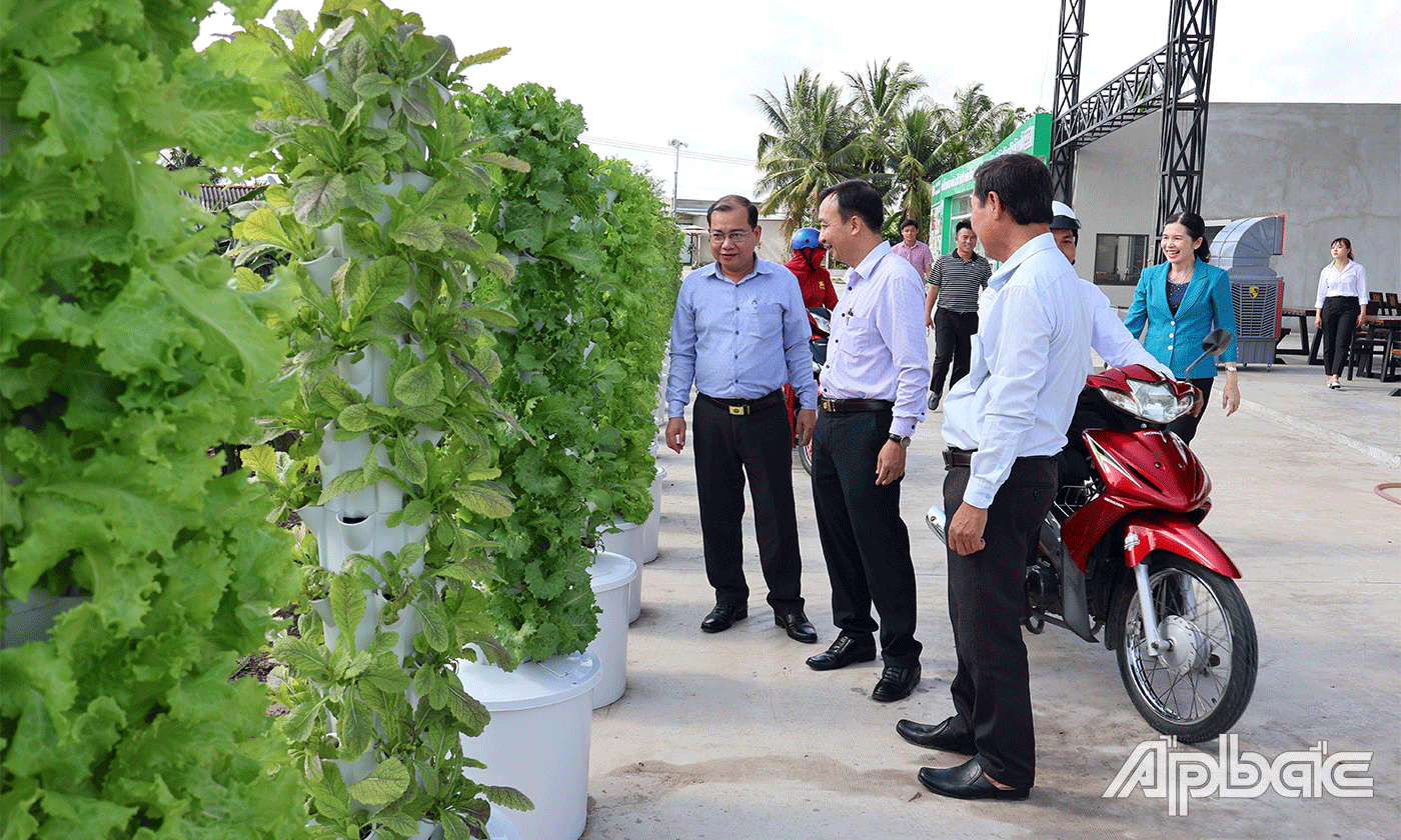 Lãnh đạo huyện Chợ Gạo tham quan Nông trại Suối Gạo.