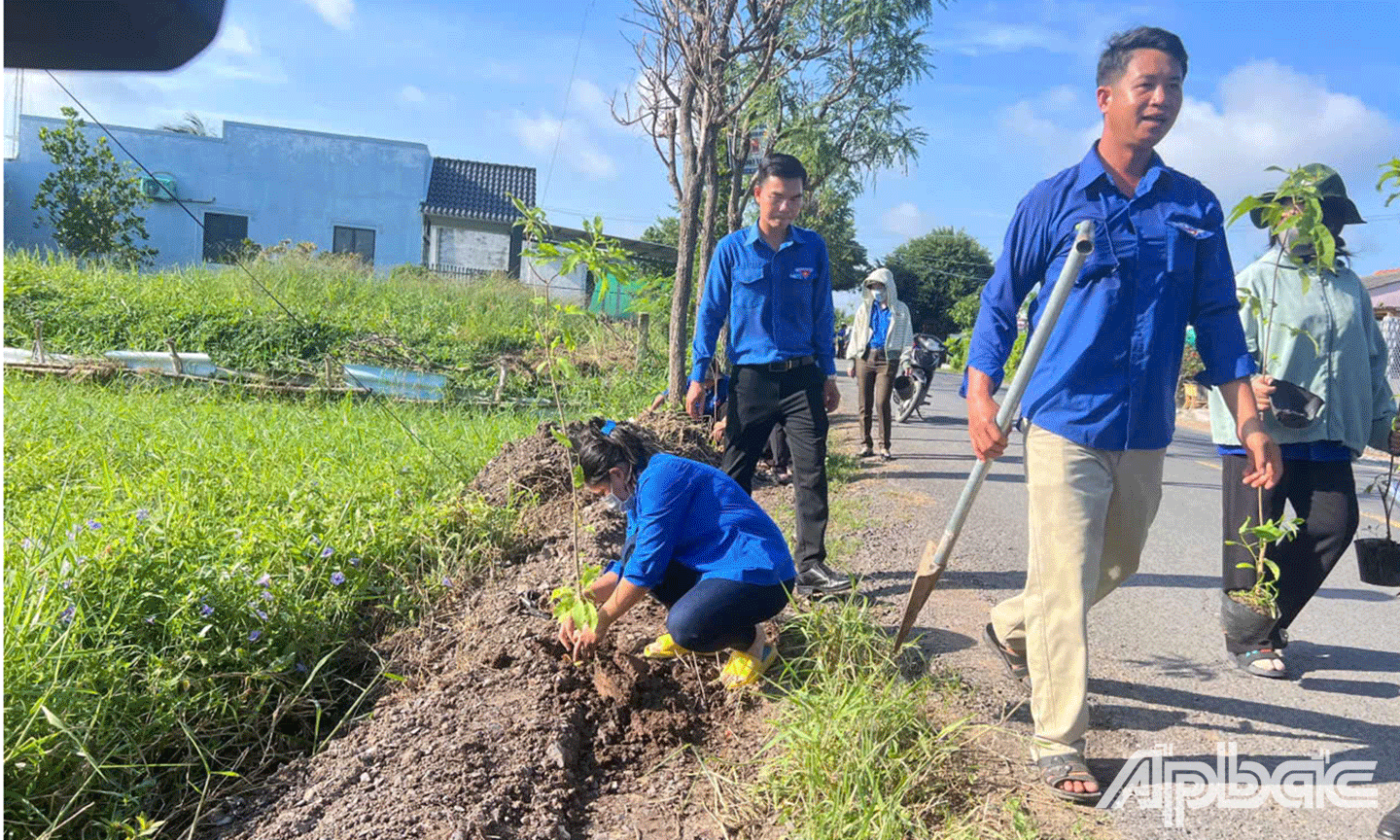 ra quân trồng mới 500 cây hoàng yến trên tuyến đường Huyện lộ 02, xã Kiểng Phước, huyện Gò Công Đông 