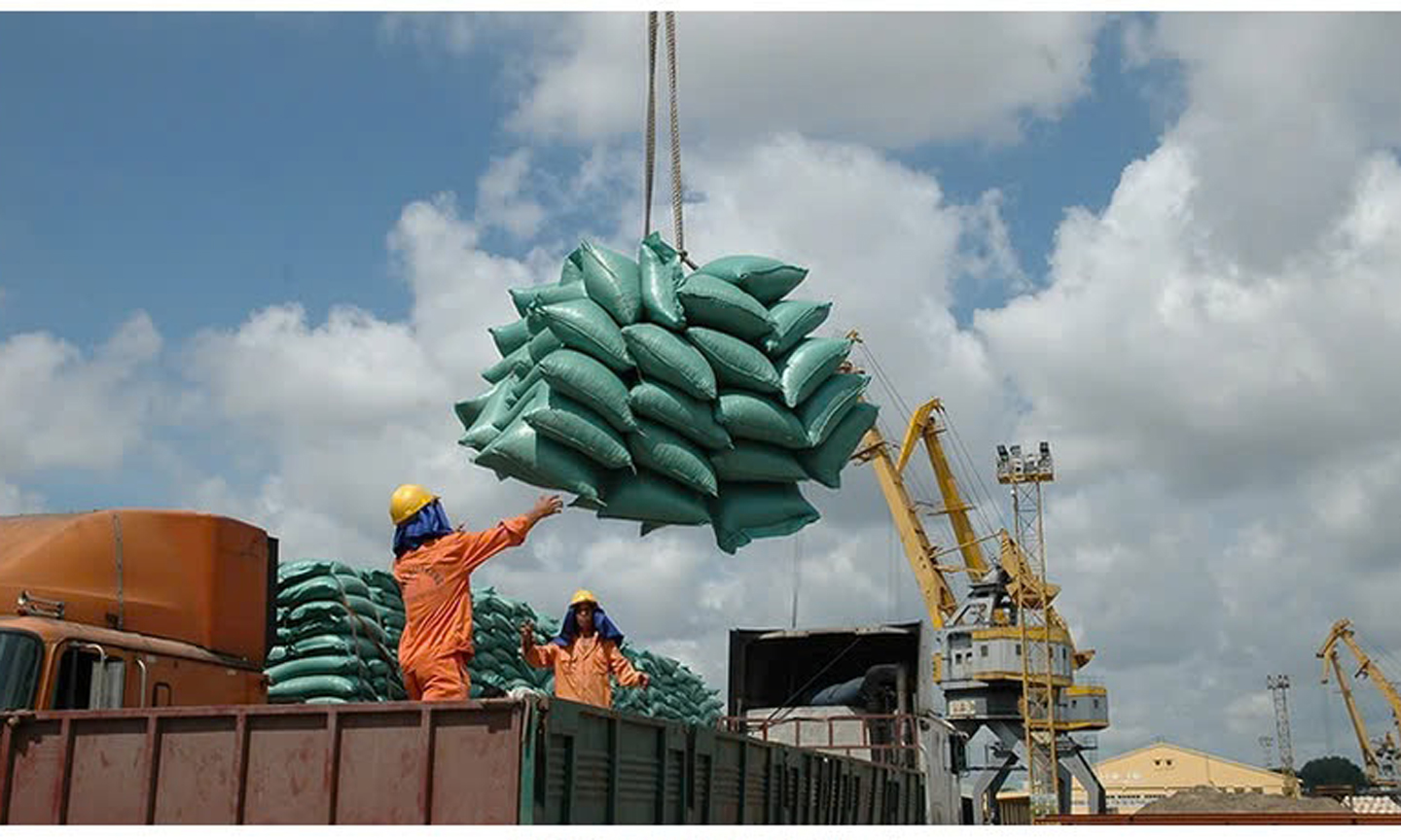 Xuất khẩu gạo có nhiều tín hiệu vui.