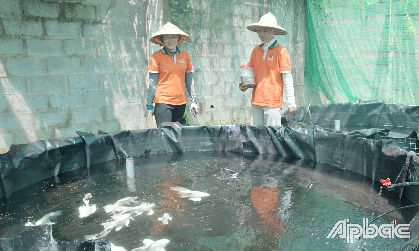 Chị Nguyễn Thị Hồng Nhung khởi nghiệp thành công  từ con cá cảnh.