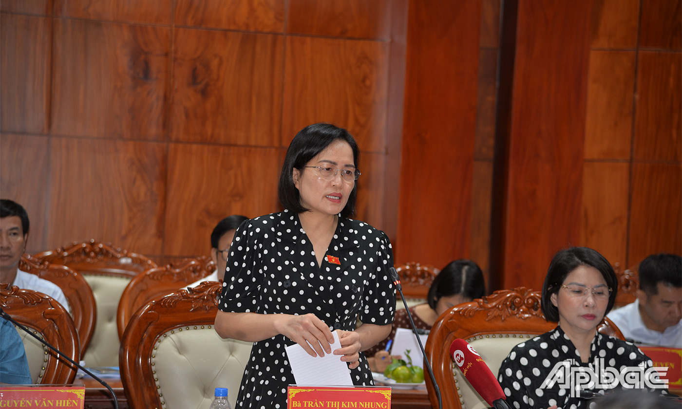 Thành viên Đoàn giám sát phát biểu ý kiến tại buổi làm việc 