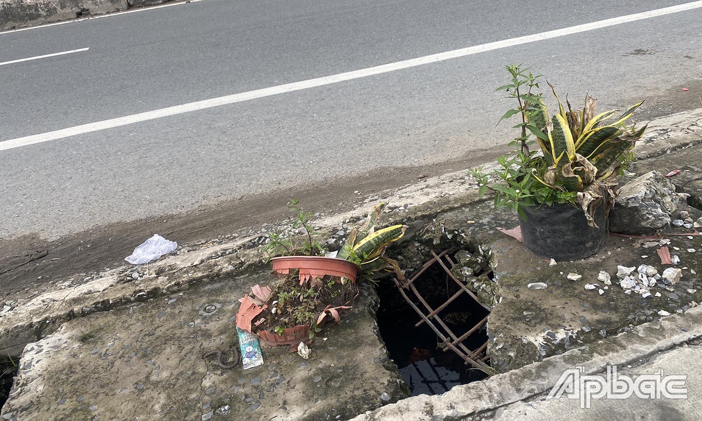 Người dân dùng các chậu cây cảnh báo người đi đường.