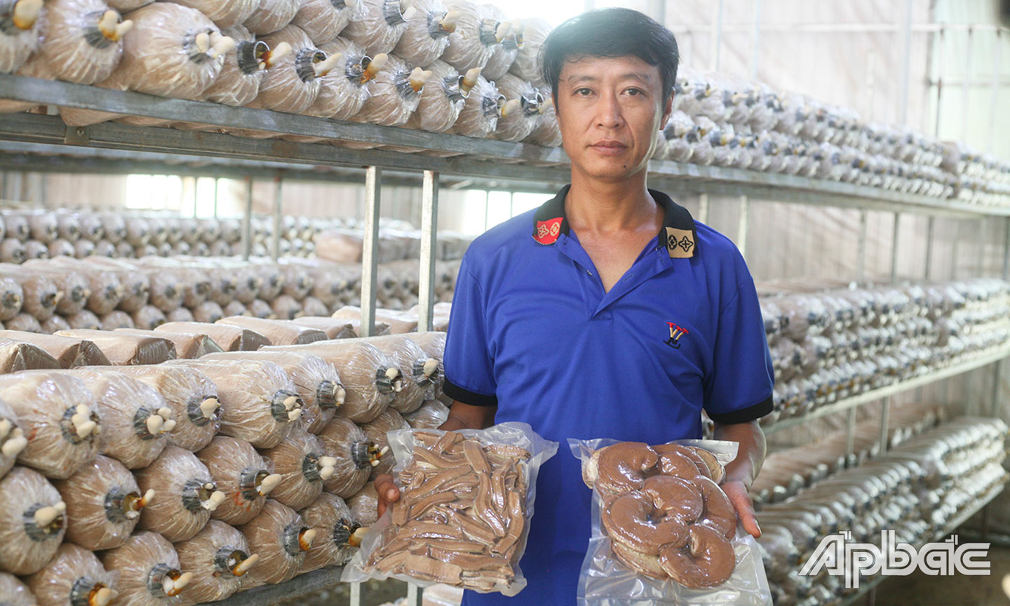 Anh Hà Tiến Thiên Tân bên sản phẩm nấm linh chi của gia đình.