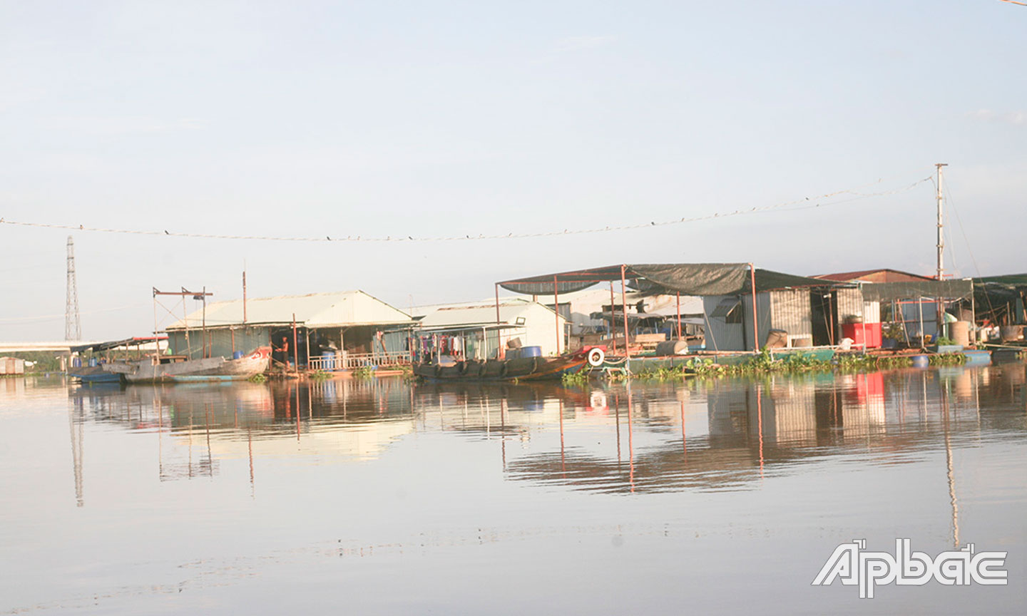 Các bè cá trên sông Tiền đoạn qua cù lao Thới Sơn.