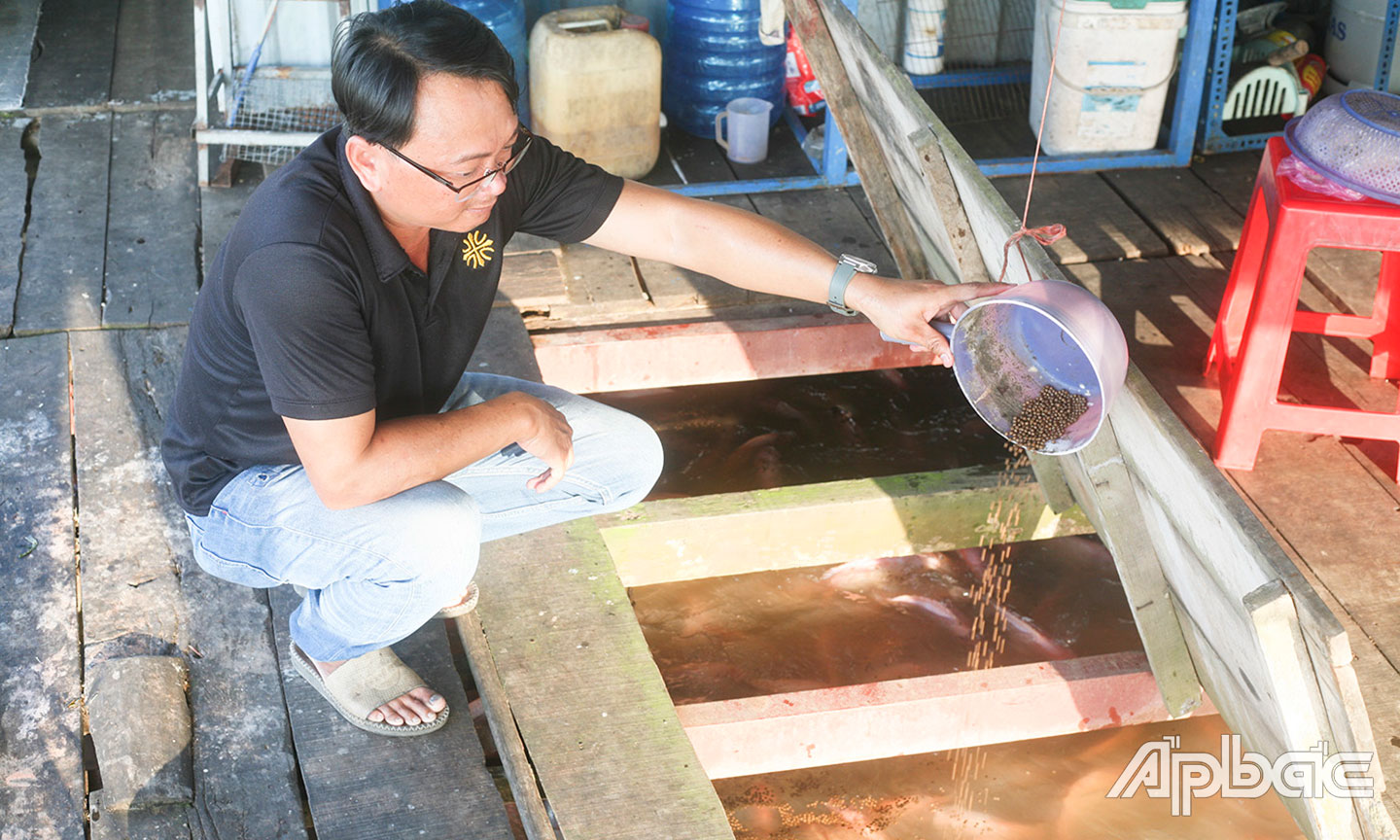 Anh Phan Ngọc Đăng Khoa đang cho cá ăn.