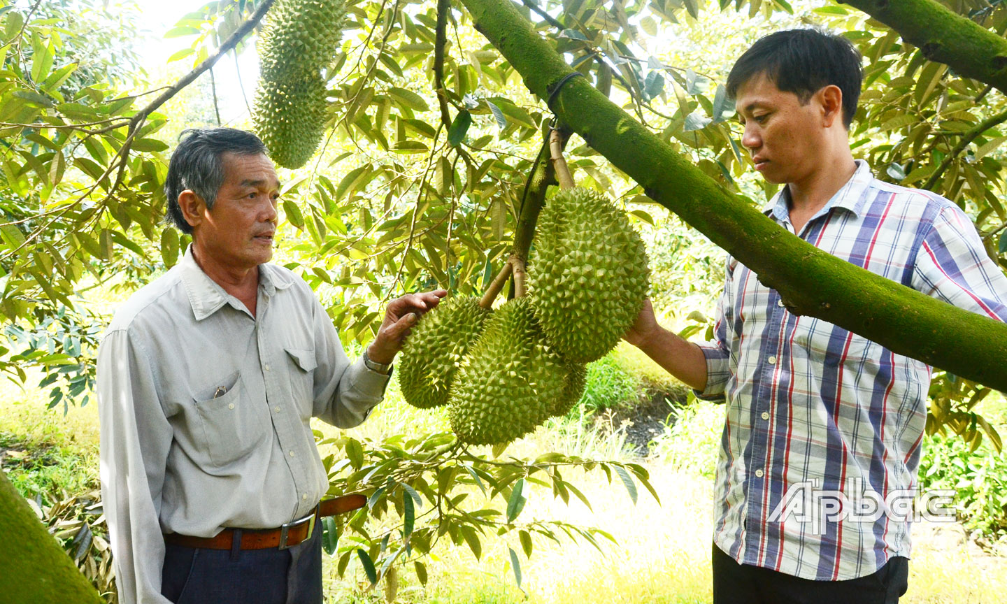 TX. Cai Lậy quan tâm, tạo điều kiện để các HTX trên địa bàn tiếp cận chính sách hỗ trợ. Ảnh: T. ĐẠT