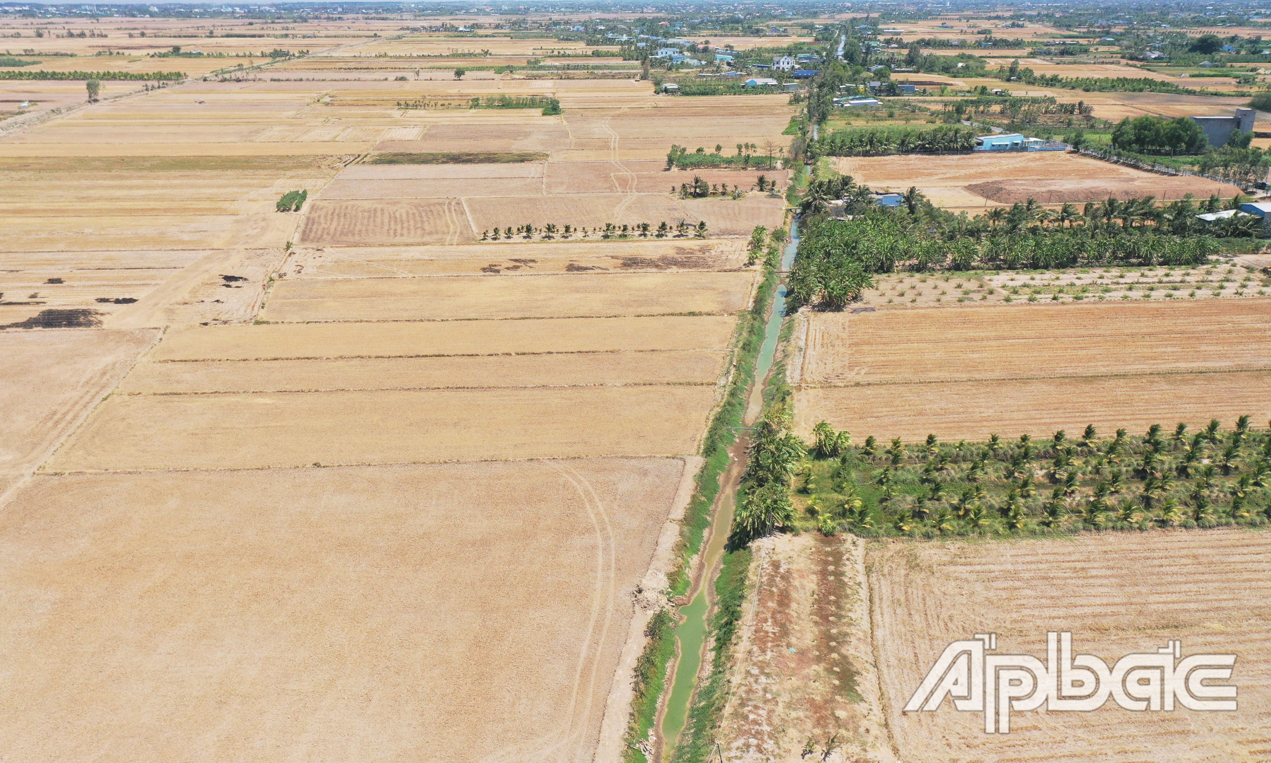 Dự báo, trên sông Tiền, biên mặn 1g/1 cách cửa sông 52-56km (cầu Xoài Hột, xã Song Thuận) xuất hiện vào cuối tháng 3-2025.