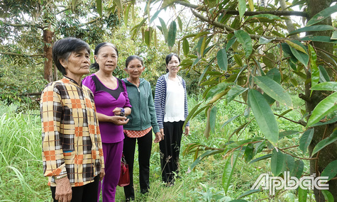 Hiệu quả hoạt động ủy thác vốn tín dụng chính sách