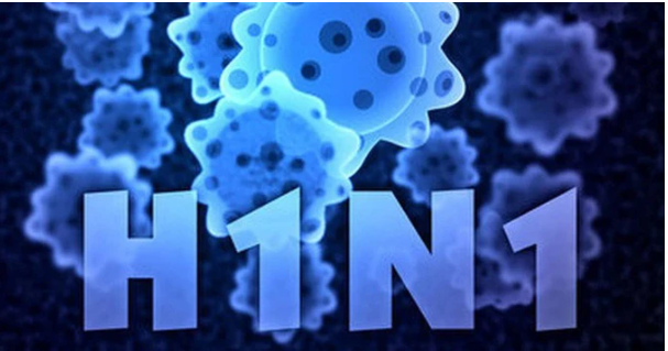 Cúm A/H1N1 là chủng cúm mùa thông thường.