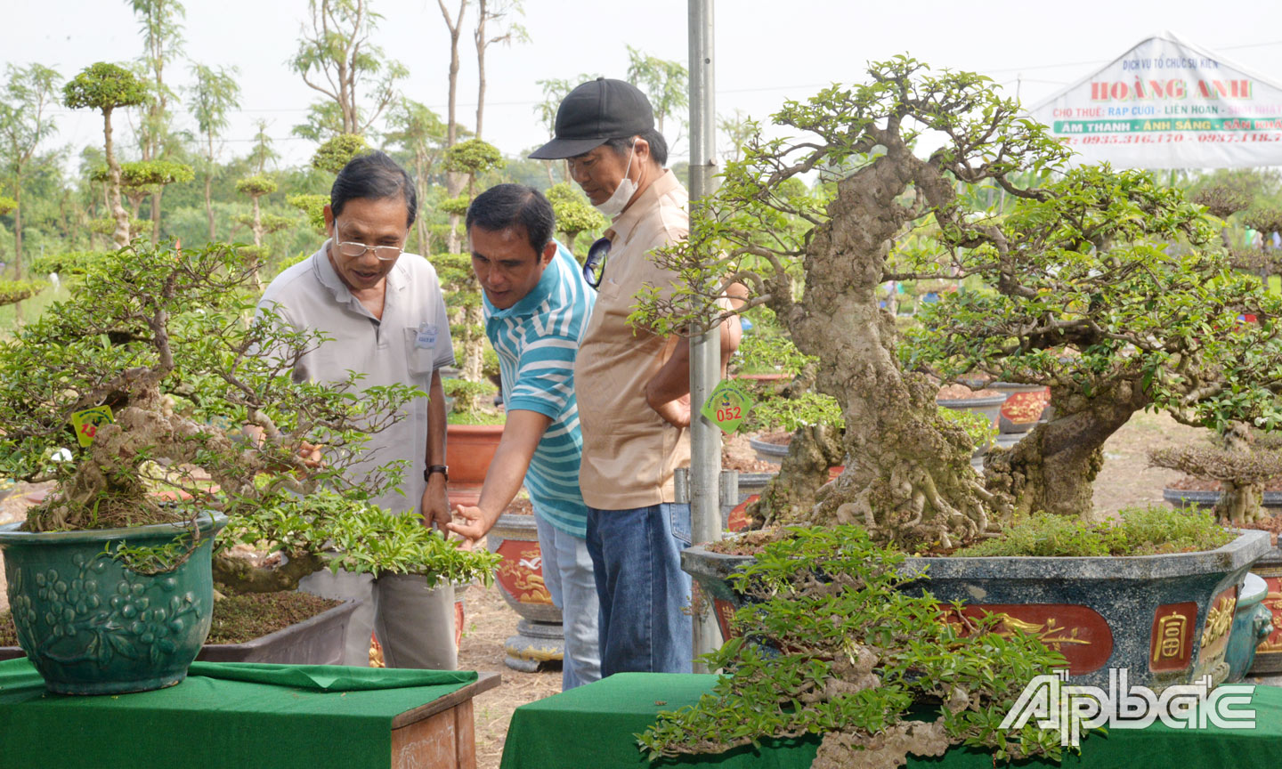 Làng nghề Kiểng cổ mai nu tại xã Thạnh Nhựt (huyện Gò Công Tây) là một trong những nơi cây cảnh có giá trị kinh tế cao.