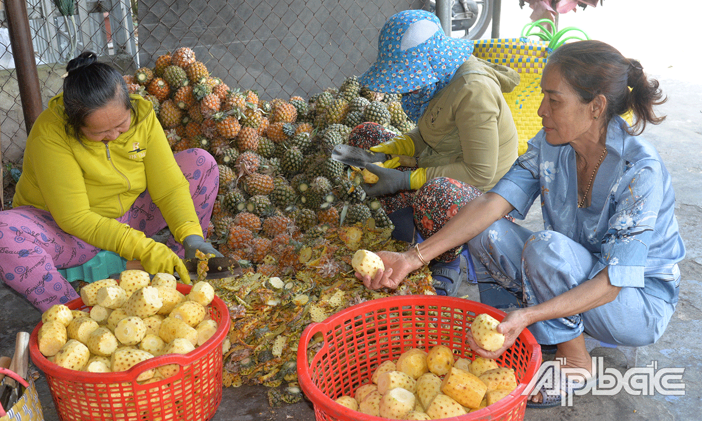 Tận dụng những trái khóm nhỏ, không đủ tiêu chuẩn để làm mứt, nhưng không phải là sử dụng những trái khóm không ngon, tỉ mỉ gọt sạch vỏ, sau đó rửa sạch, cắt nhỏ.