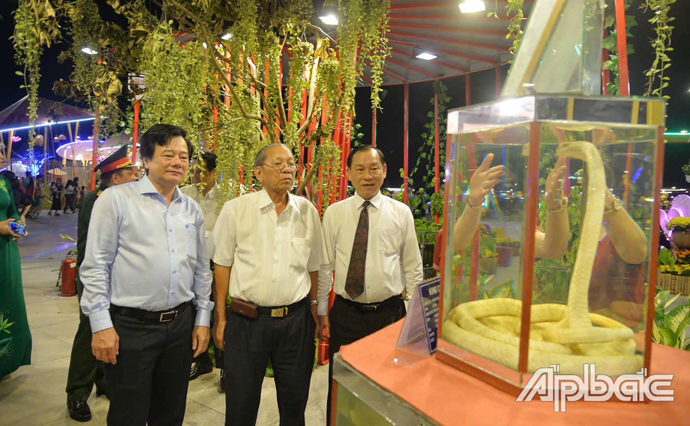 Lãnh đạo tỉnh Tiền Giang, cùng đại biểu tham quan đường hoa.