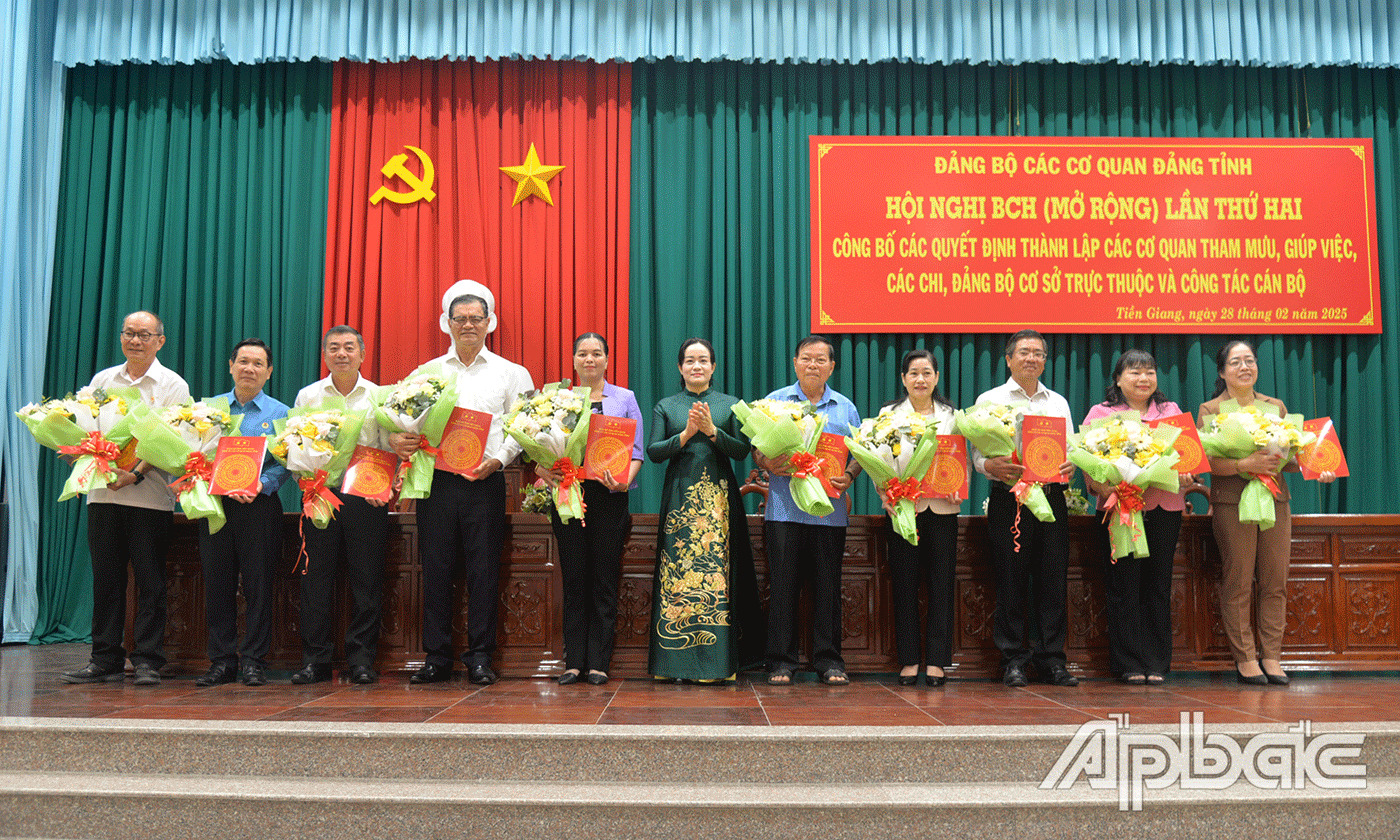 Đồng chí Nguyễn Hải Trâm, Phó Bí thư Thường trực Tỉnh uỷ, Bí thư Đảng uỷ các cơ quan Đảng tỉnh trao quyết định.