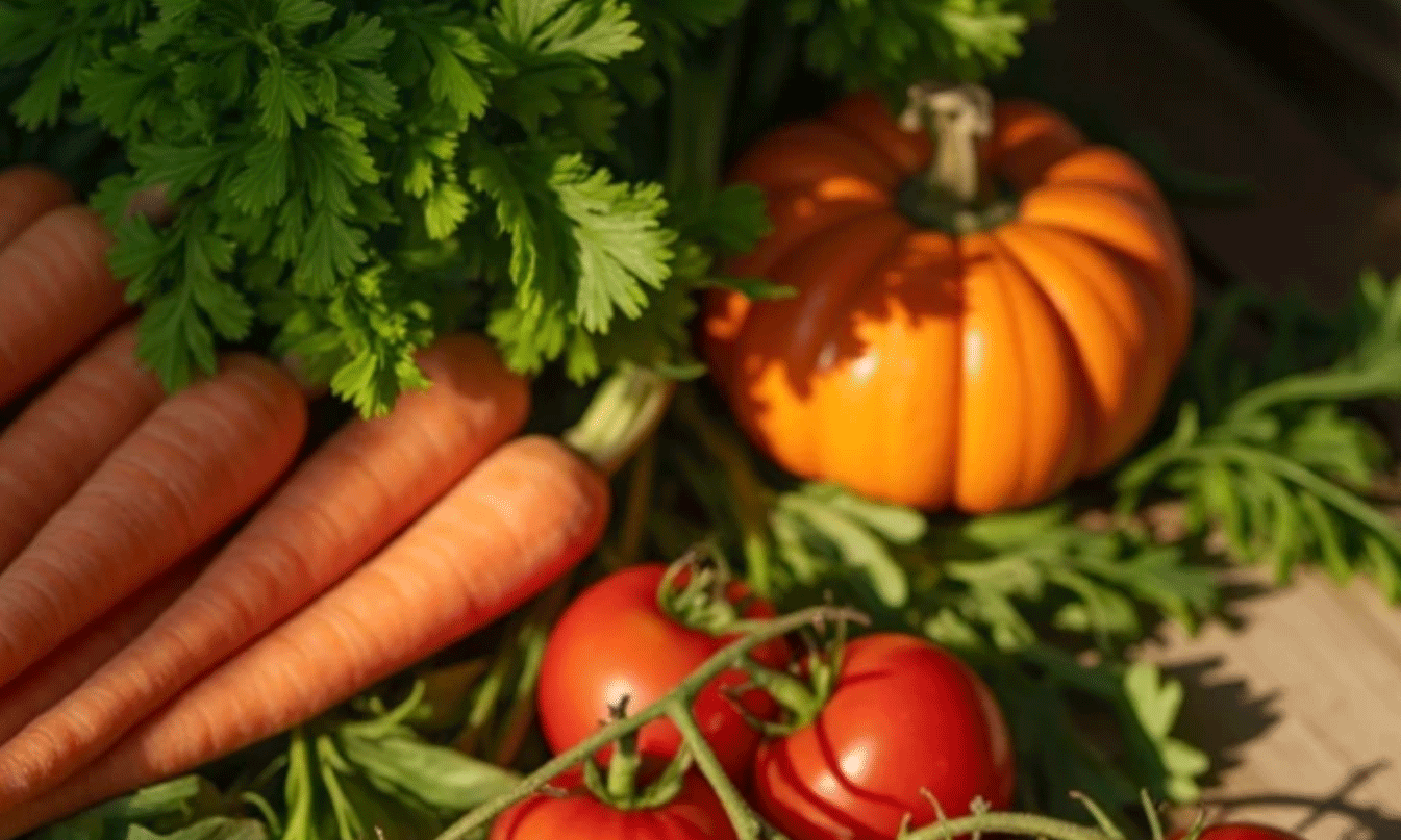 Rau củ tươi có vai trò quan trọng trong chế độ dinh dưỡng hàng ngày.