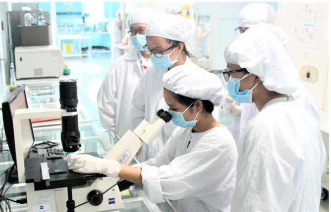 Sinh viên ngành Công nghệ sinh học Trường ĐH Khoa học Tự nhiên (Đại học Quốc gia TPHCM) trong giờ học thực hành. Ảnh: THANH HÙNG