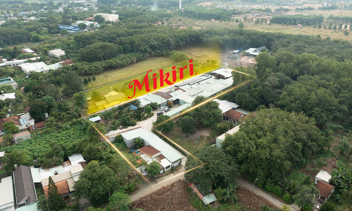 Xưởng sản xuất bánh tráng Mikiri.