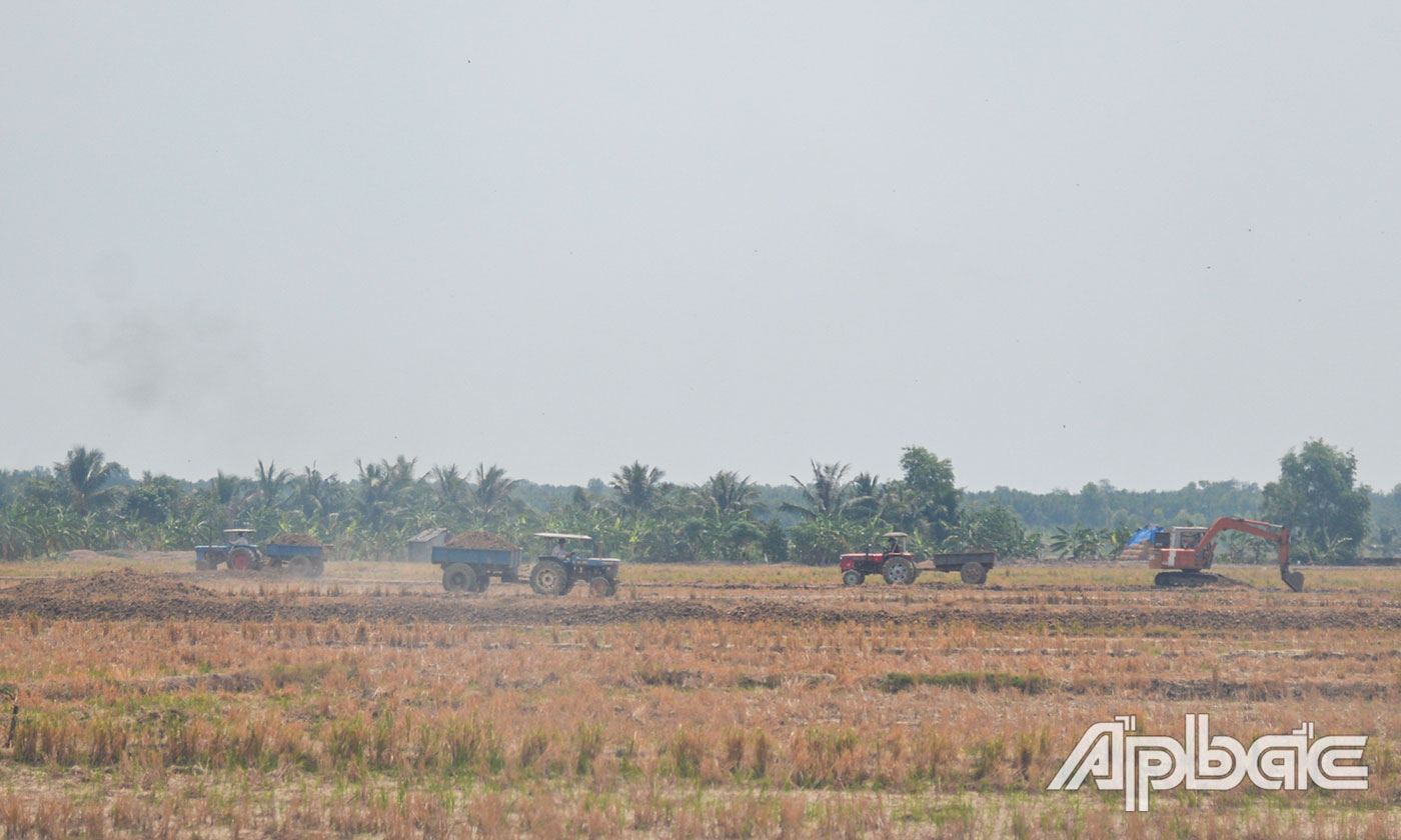Hoạt động khai thác đất mặt ruộng tại ấp 3, xã Tân Phước, huyện Gò Công Đông.