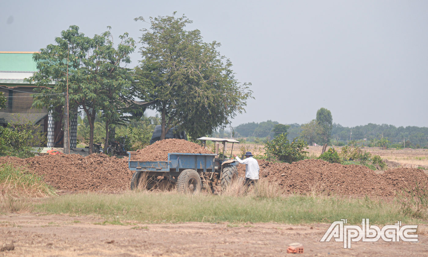 Đất mặt ruộng được tập kết thành những đống to.