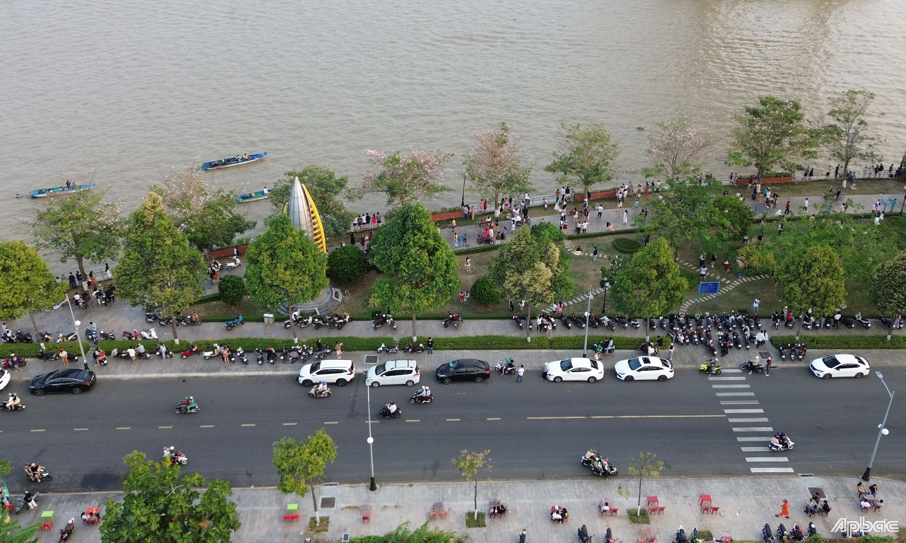 Rất đông người dân đến thưởng lãm, chụp ảnh với hoa kèn hồng trong chiều ngày 23-3.