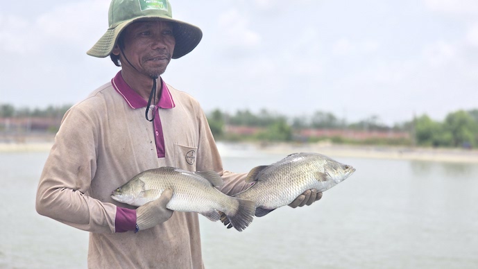 Cơ cấu kinh tế vùng ĐBSCL phụ thuộc quá nhiều vào lĩnh vực nông nghiệp. Ảnh: Trung Chánh