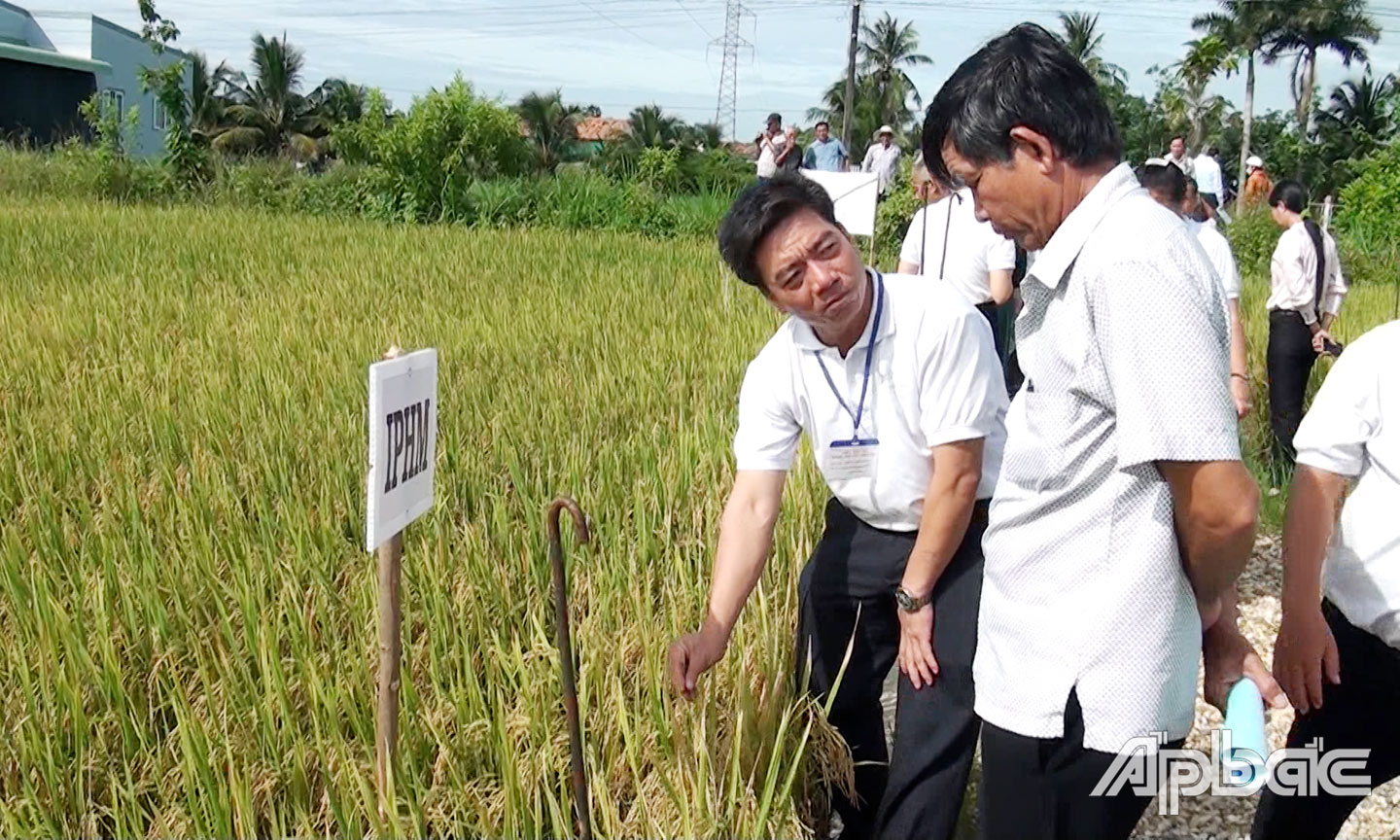 Trung tâm Bảo vệ thực vật phía Nam tổ chức chuyển giao khoa học - kỹ thuật về sản xuất lúa an toàn cho nông dân huyện. 			                                                                 Ảnh: NGỌC YÊN