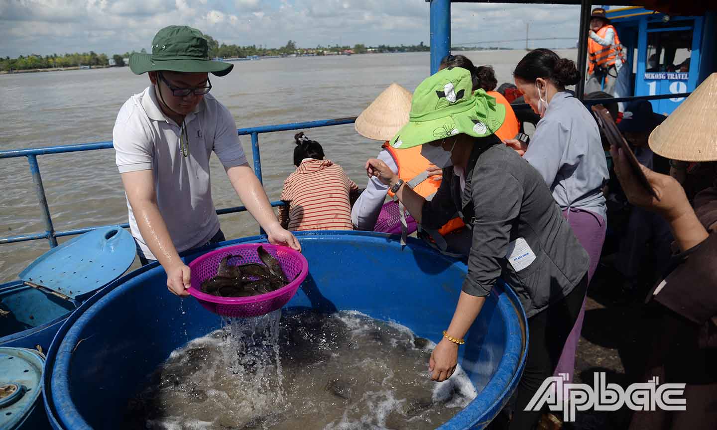 Một số hình ảnh ở buổi thả cá trên sông Tiền.