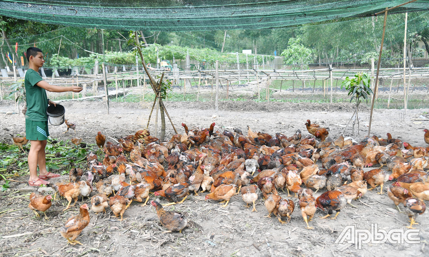 Trung đoàn 924, Bộ CHQS tỉnh Tiền Giang đẩy mạnh công tác TGSX theo Đề án QN-21.