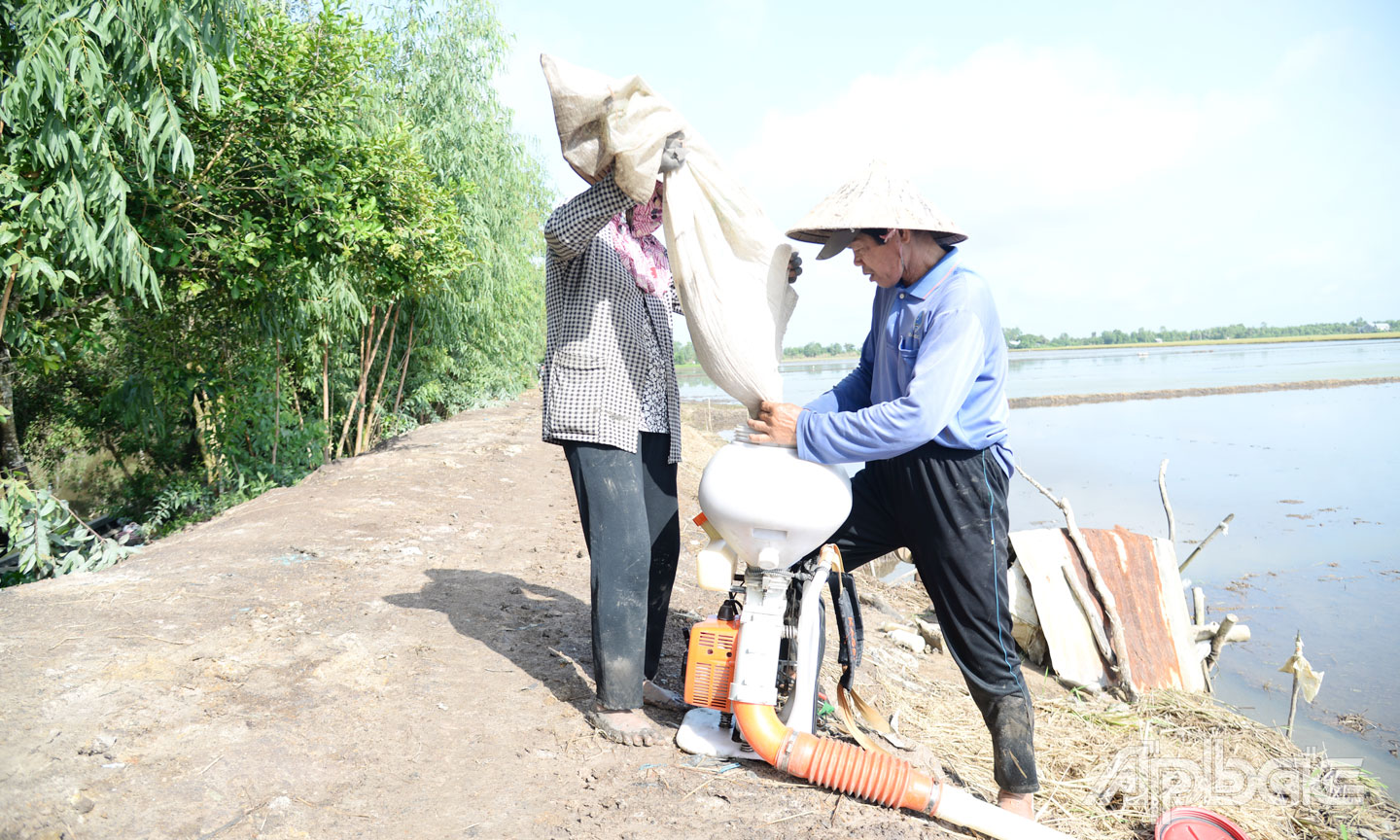 Ông Trung cho giống vào máy phun để gieo sạ vụ lúa hè thu. 