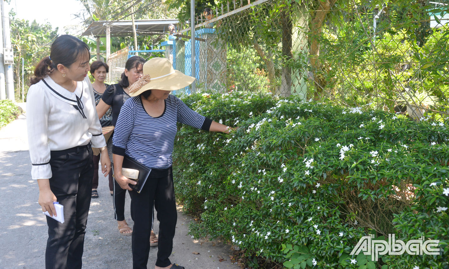 Đoạn đường 4, 5, 6 (ấp 3A, xã NTM nâng cao Đạo Thạnh, TP. Mỹ Tho).