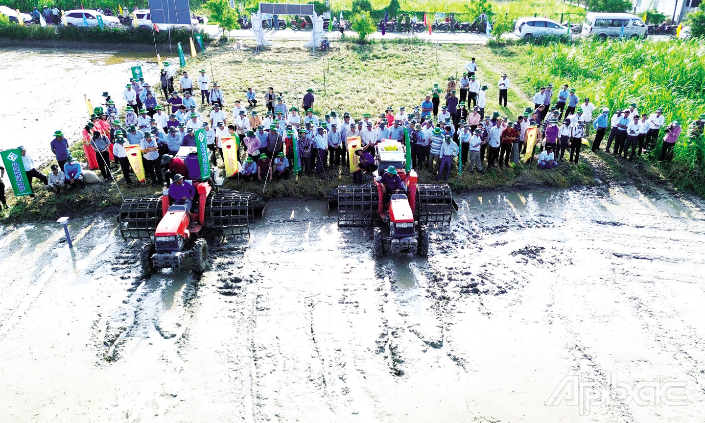 Tiền Giang phát động Đề án Phát triển bền vững 1 triệu ha  chuyên canh lúa chất lượng cao và phát thải thấp.